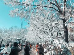 -紫金山山顶公园