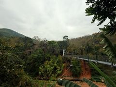 -西双版纳原始森林公园