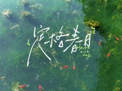 -蠡湖大桥公园