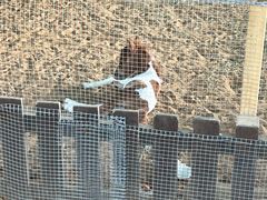 -秦皇岛野生动物园