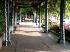 android_upload_pic-蠡湖大桥公园