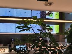 -Bco豆库(星耀天地店)