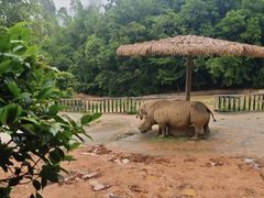 -泉州海丝野生动物世界