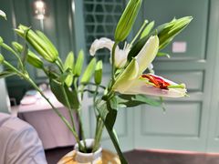 -南堂馆·新川菜(春熙路店)