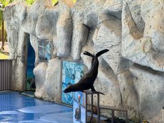 -泉州海丝野生动物世界