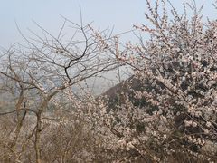 -香山公园