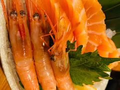 北极甜虾刺身-三月居酒屋(青年大街店)