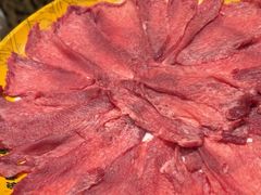 -潮汕大目牛肉火锅(皇岗旗舰店)