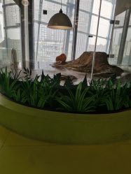 -七巧国萌宠乐园(龙湖天街店)