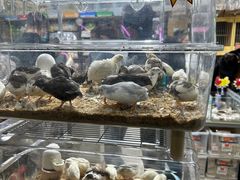 -三旗百汇商品城