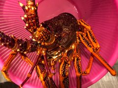 -新花城蟹粉馆(乌鲁木齐店)