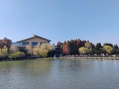 -溱湖国家湿地公园