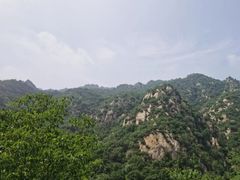 -大岭沟猕猴桃谷风景区
