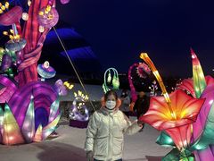 -沈阳奥体冰雪嘉年华