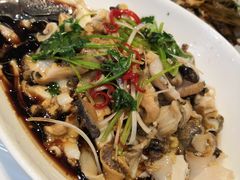 葱油海螺-喜来酌海鲜·饺子(和平一店)