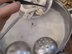 -正能量脆肉鲩火锅