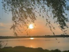-贡湖湾湿地公园