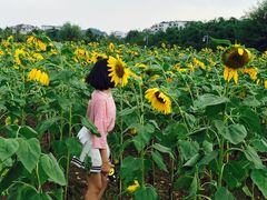 -贵阳市花溪国家城市湿地公园