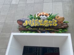 -海合安成都极地海洋公园
