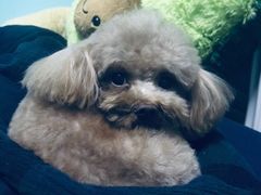 -乐宠宠物店(世纪金源店)