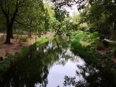 -上海共青森林公园