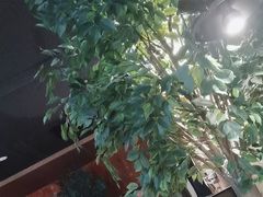 -同仁四季椰子鸡(无锡滨湖万象汇店)