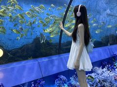 -重庆欢乐海底世界