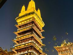 -浩海火燒雲傣家菜(芮欧百货店)