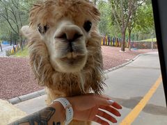 -北京野生动物园