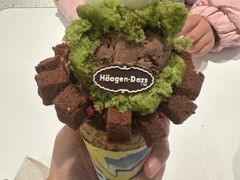 -哈根达斯(城西银泰店)