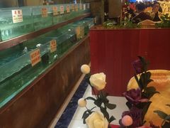 -金龙渔港(双楠店)