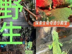 -上海大自然野生昆虫馆(东方明珠·爬宠昆虫探索中心)
