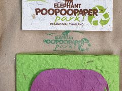 -大象粑粑造纸公园