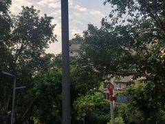 -四川大学(望江校区)