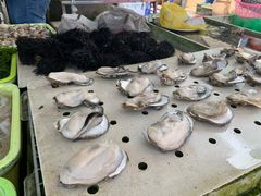 -大湾区中央湿地公园-十九涌