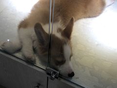 -乐宠宠物店(世纪金源店)