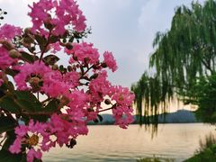 -石湖景区