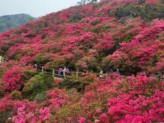 -木兰云雾山