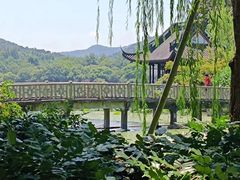 -西湖游船