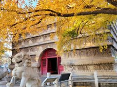 -北京石刻艺术博物馆(五塔寺)