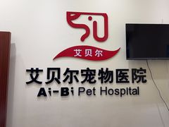 -艾贝尔宠物医院 ·内科全科(梁溪路店)