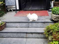 -古韵餐厅(湖畔大学店)