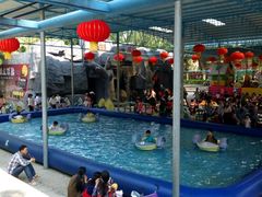 -广东茂名森林公园