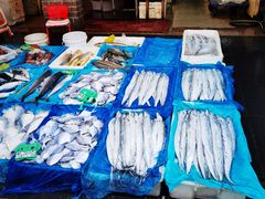 -芦潮港集贸市场