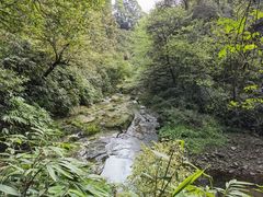 -碧峰峡风景区