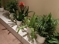 -湘轩·土菜研究院(光大店)
