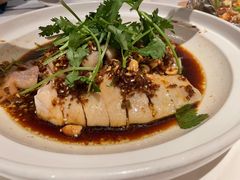 沙姜走地鸡-博多新记·粤菜(复兴店)