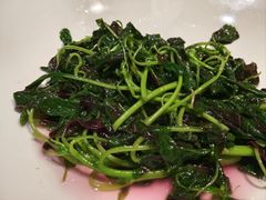 -真地道京味府·鲜橙烤鸭·北京菜(朝外大街东大桥店)