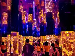 -成都浩海立方海洋公园