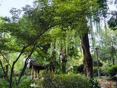 -成都武侯祠博物馆